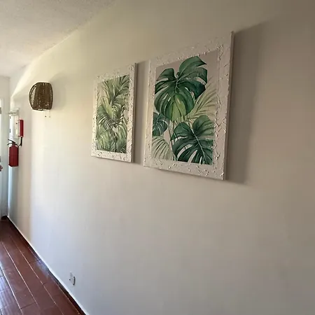 Apartment Oura - Albufeira Bicas
